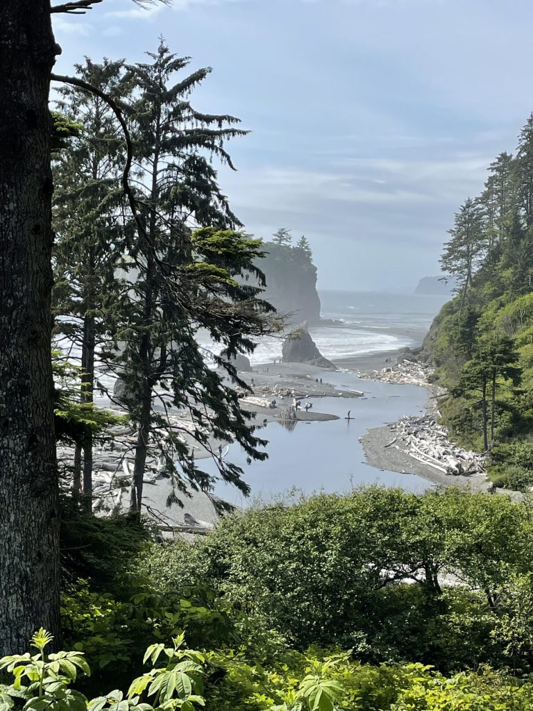 With tide pools and sea stacks, Ruby Beach inspires.